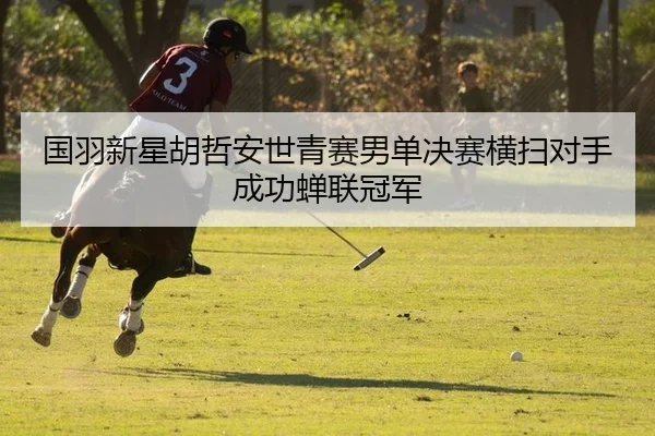 guo-yu-xin-xing-hu-zhe-an-shi-qing-sai-nan-dan-jue-sai-heng-sao-dui-shou-cheng-gong-chan-lian-guan-jun-2-500.jpg
